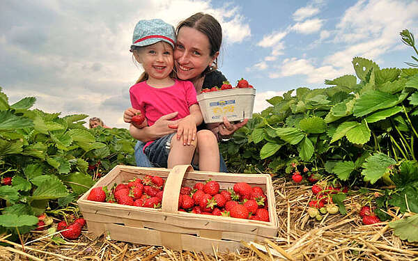 Erdbeerselbstpflucke Klaistow c B und W