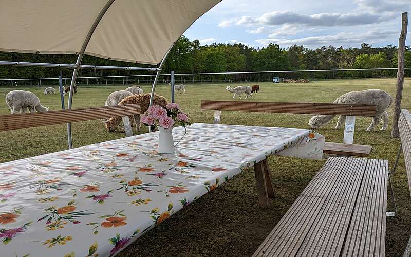 PXL 20230516 160252738 Nadine P.