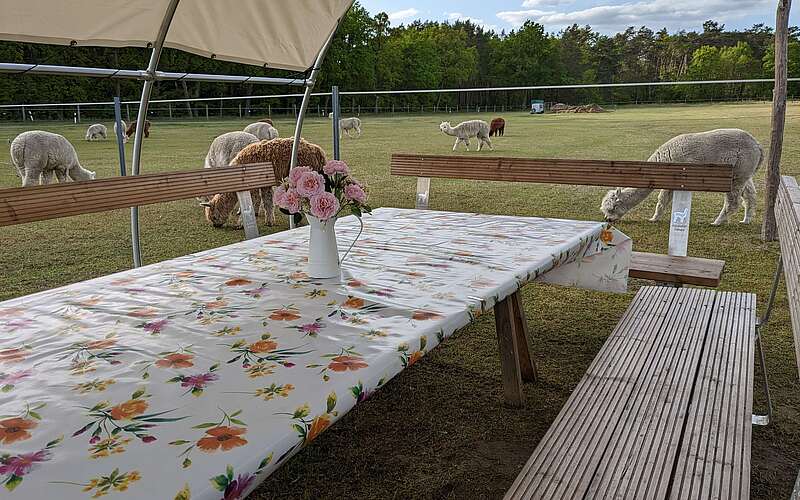 PXL 20230516 160252738 Nadine P.