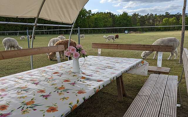 PXL 20230516 160252738 Nadine P.