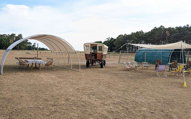 PXL 20230615 062757546 Nadine P.