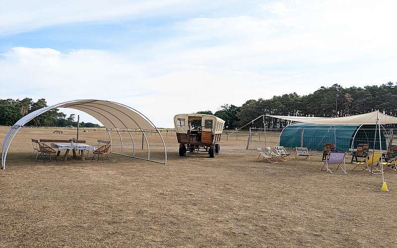 PXL 20230615 062757546 Nadine P.