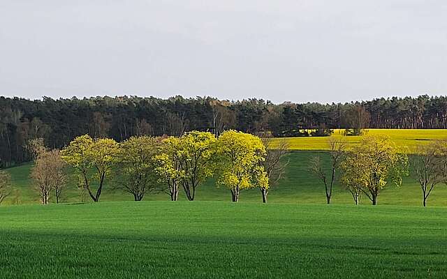 Weite Blicke prägen die Landschaft