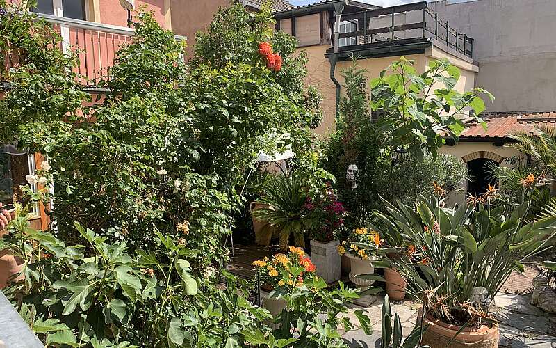 Karusell im Kopf - Coaching