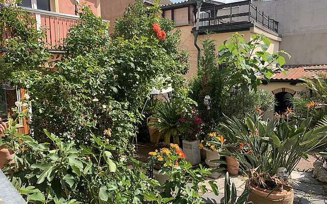 Karusell im Kopf - Coaching