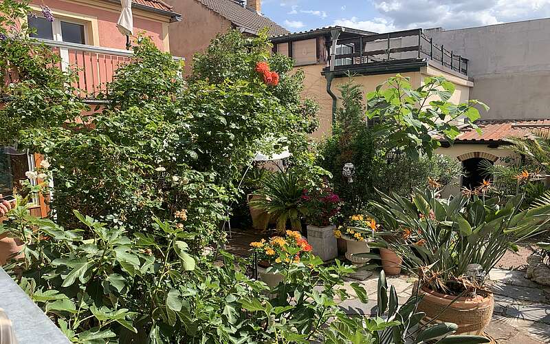 Karusell im Kopf - Coaching