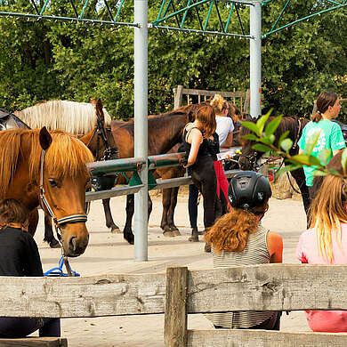 Reiterhof Groß Briesen - Kinder beim Reitunterricht