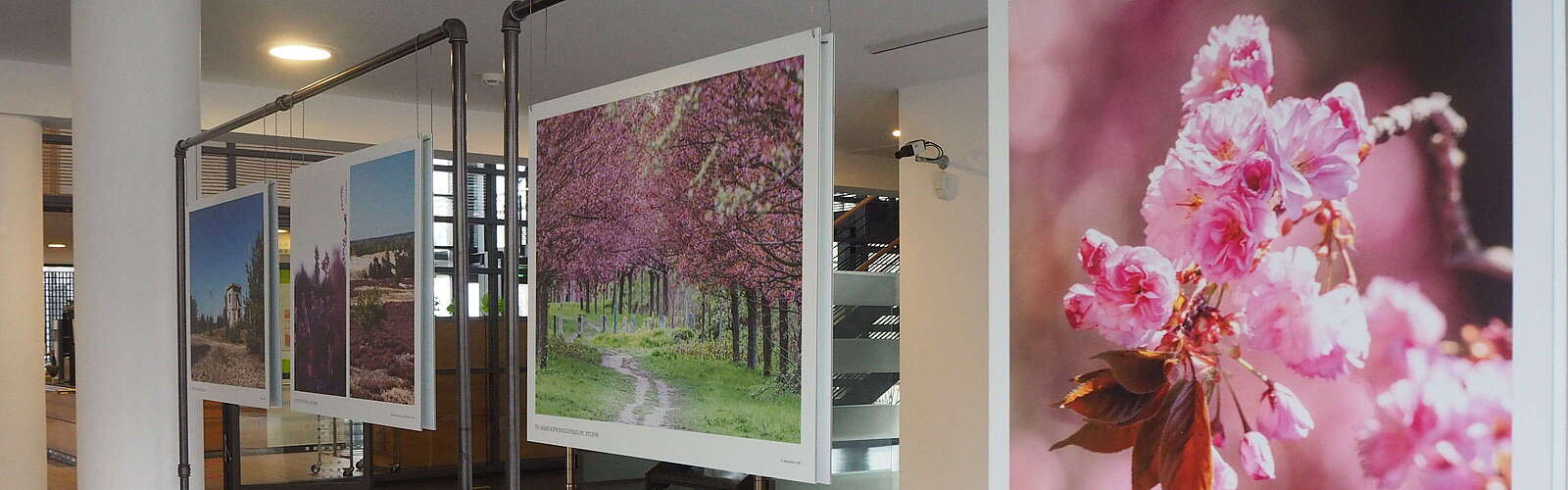  Luckenwalde Keisverwaltung 02 2023 c TVF OK CC017