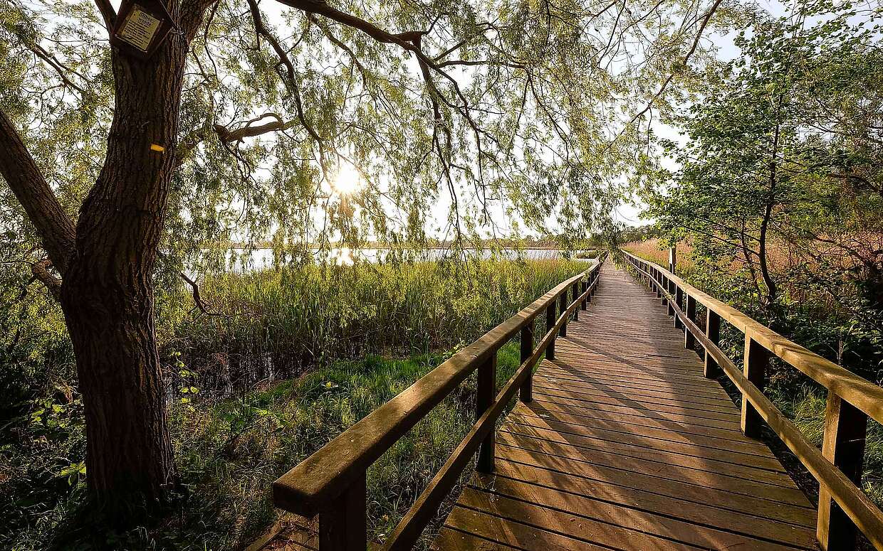 Bohlensteg Blankensee