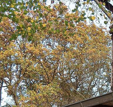 Bahnhof Mageburgerforth