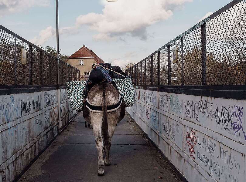 Eselnomaden Jan Prowaznik unterwegs mit Eseln