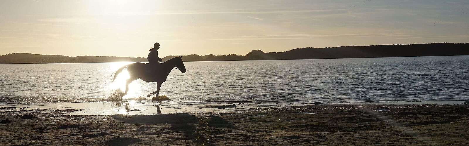 Reiter am Rangsdorfer See