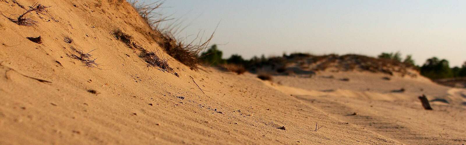 Stiftungsflächen Jüterbog