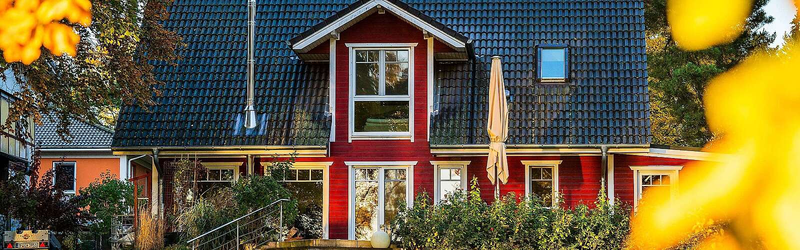 #flämingerlöwen Marion Pods