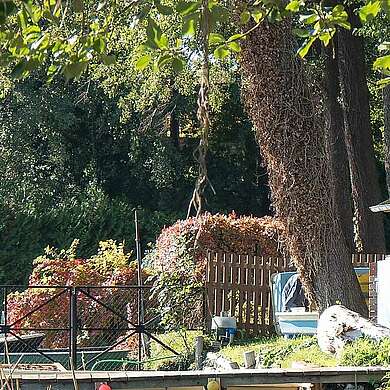 Mellensee Städteportät