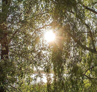 Bohlensteg in Blankensee