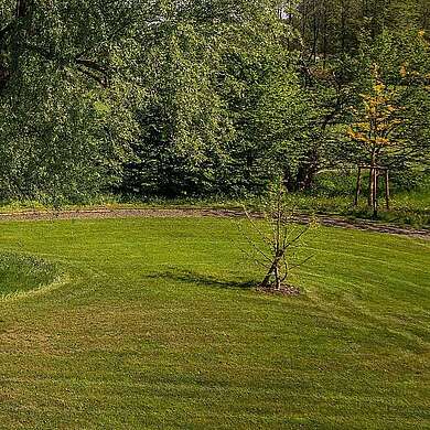 Tagen im Grünen hinter dem Paulinen Hof