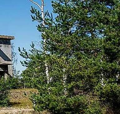 Stiftungsflächen Jüterbog