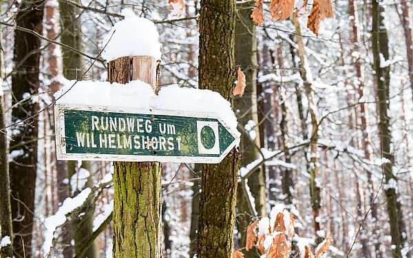 Winter auf dem Rundweg Wilhelmshorst