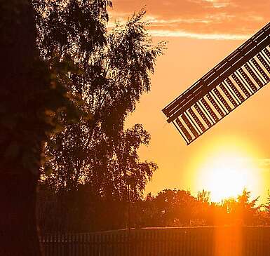 Bockwindmühle Beelitz im Sonnenuntergang