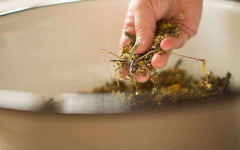 Kräuterwanderung mit Britt Muschert