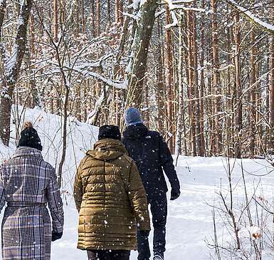 Rundweg Wilhelmshorst im Winter