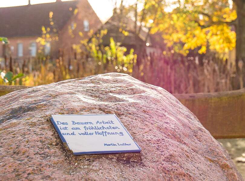 Lesestein im Gegenlicht am Dorfteich