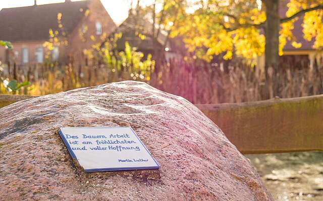 Lesestein im Gegenlicht am Dorfteich