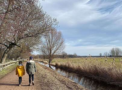 Spaziergang in der Diedersdorfer Heide