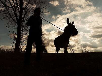 Eselnomaden Jan Prowaznik unterwegs mit Eseln