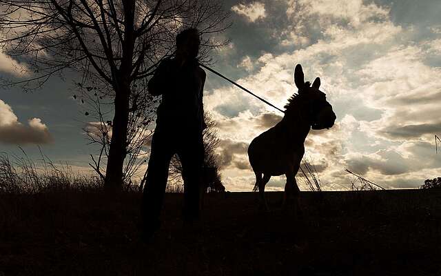 Eselnomaden Jan Prowaznik unterwegs mit Eseln