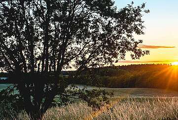 Sonnenuntergang vom Hagelberg