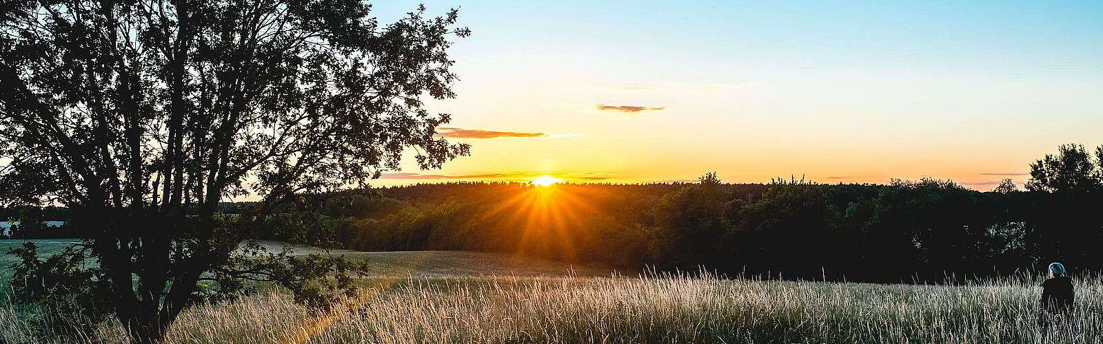 Sonnenuntergang vom Hagelberg
