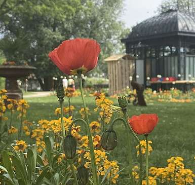 Landesgartenschau Beelitz Pavillon