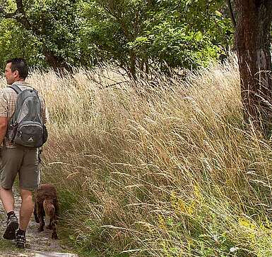 Wanderer im Hohen Fläming