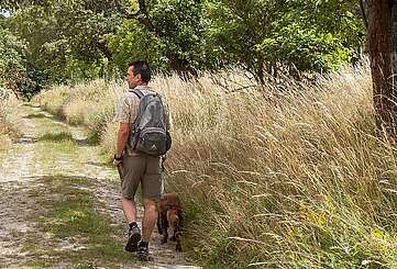 Wanderer im Hohen Fläming