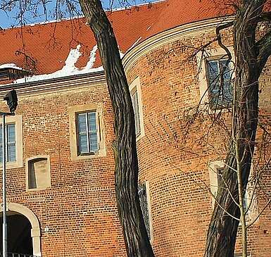 Burg Eisenhardt im Winter