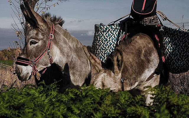 Unterwegs mit den Eselnomaden