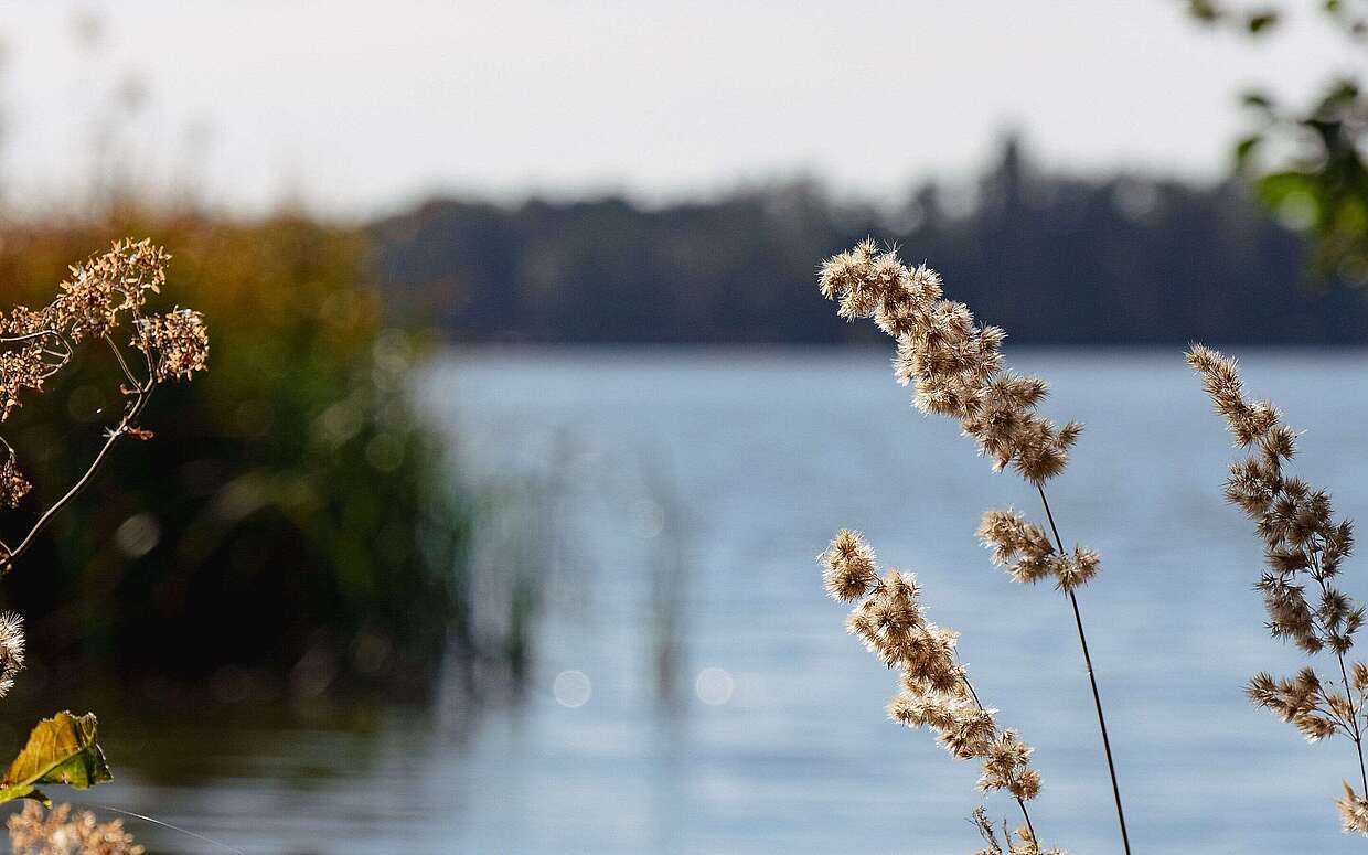 Mellensee Städteporträt