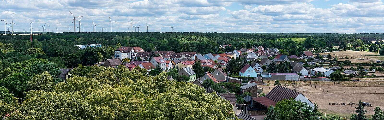Blick auf Niemegk vom Wasserturm