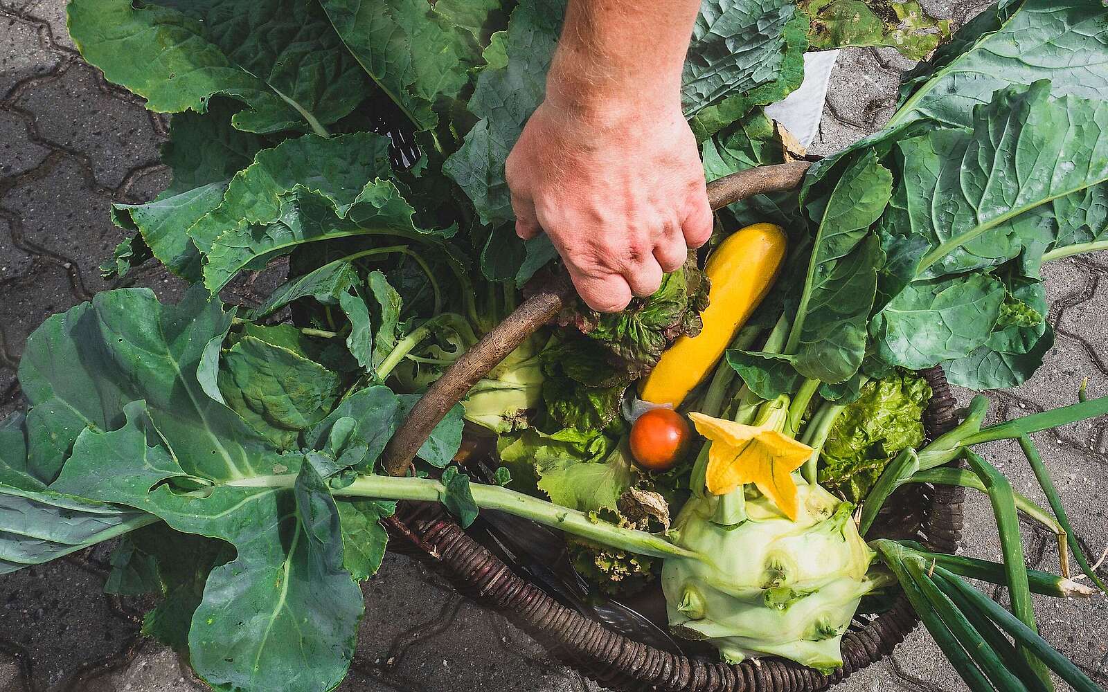 Ein Korb voll regionaler Produkte - Daniel Reuner