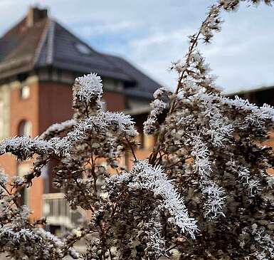 Beelitzer Bahnhof im Winter