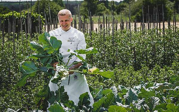 Daniel Reuner auf dem Feld mit Kohlrabi