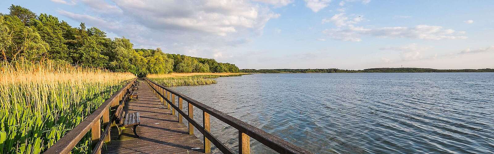 Bohlensteg Blankensee