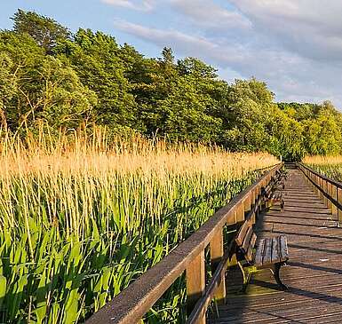 Bohlensteg Blankensee