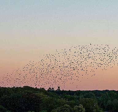 Abendsonne vom Schlossturm in Wiesenburg