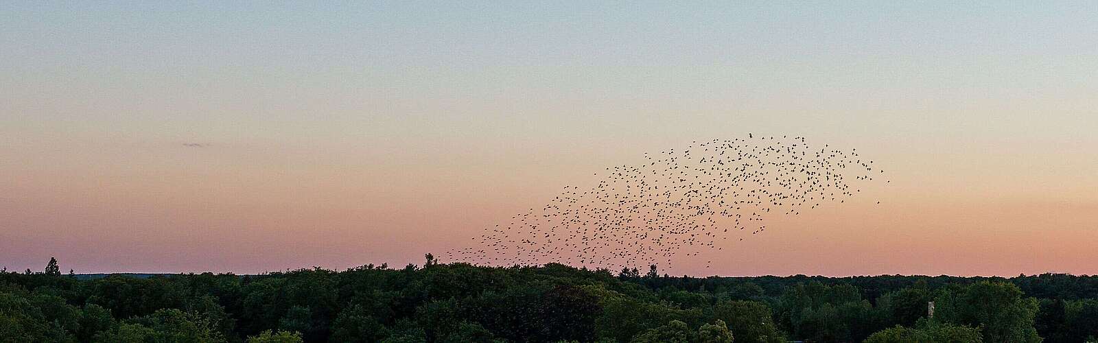 Abendsonne vom Schlossturm in Wiesenburg