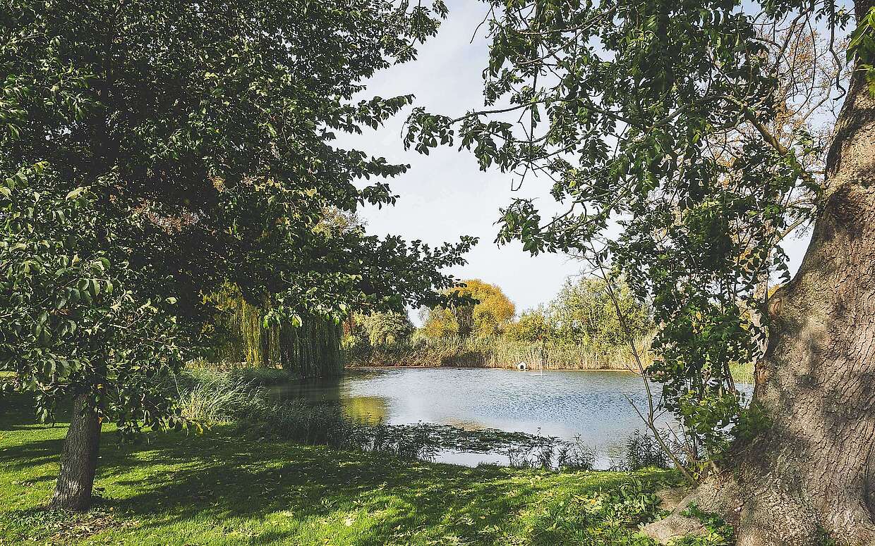 Städteporträt Großbeeren - Diedersdorf