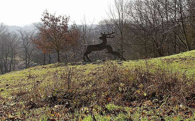 Wildnisschule Hoher Fläming
