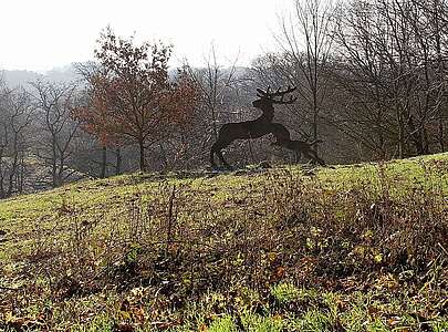Wildnisschule Hoher Fläming